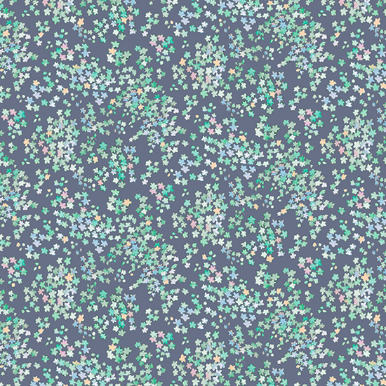 FR1243-C_24B8B