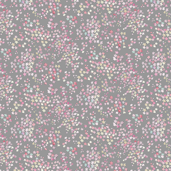 FR1243-D_24B9B